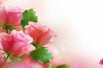 The Fasting of the Heart