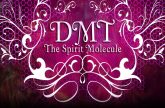 DMT The Spirit Molecule