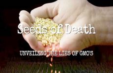 Seeds of Death and the Lies About GMOs