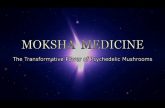 Moksha Medicine Psychedelic Mushrooms