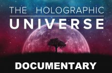 The Holographic Universe