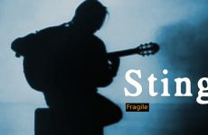 Sting Fragile